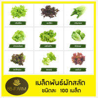 เมล็ดผักสลัด 100 เมล็ด ?งอกดี / เมล็ดพันธุ์ผักสลัด