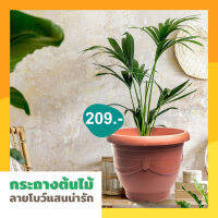 Plant pot กระถางต้นลายโบว์