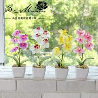 【LZ】✲♈⊕  27cm artificial borboleta orquídea flor bonsai casa jardim quarto sala de estar decoração festa flores falsas desktop mini bonsai