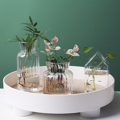 Terrarium Hydroponic Plant Vases Flowers Vase Frame Glass Tabletop Plants glass vase home decor