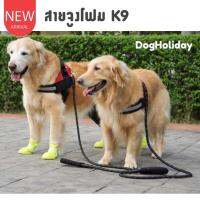 CatHoliday สายจูง K9 สายจูงสุนัข