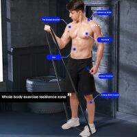 【CW】 Useful Elastic Band Exercise No Non-slip Resistance