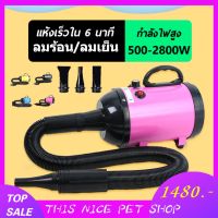 s10 ไดร์เป่าขนหมา 2800W ไดร์เป่าขนสัตว์ ไดร์ขนหมา เสียงเบา มีประกัน  เครื่องเป่าขน ไดร์ไล่น้ำ ไดร์เป่าขนสัตว์ ไดร์สุนัข ไดร์