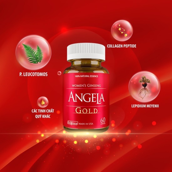 Combo 2 hộp sâm angela gold 60 viên- hỗ trợ tăng cường sức khoẻ - ảnh sản phẩm 6