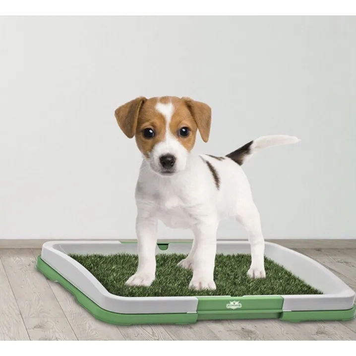 Puppy Potty Pad Perfect Pets Indoor Dog Toilet Training Lazada PH