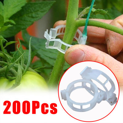 20050Pcs พลาสติกสนับสนุนคลิป Reusable Plant Vine Protection Grafting Fixing เครื่องมือสำหรับผักมะเขือเทศ Garden Supplies