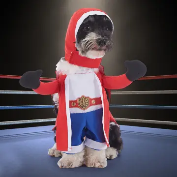 Dog hotsell boxing costume