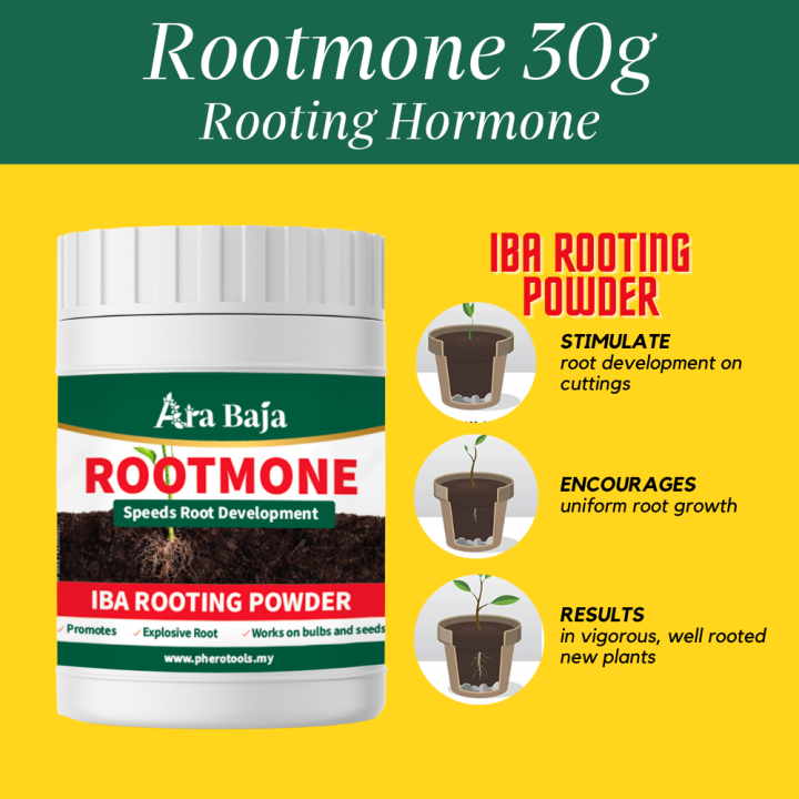 Pherotools Rooting Powder 30g (IBA Rooting Hormone For Rooting Plants