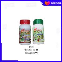 ค้างคาวอินทรีย์ ไร้สารเคมี ฮอร์โมนพืช เซตคู่ เขียว-แดง ชุดเล็ก เร่งการเจริญเติบโต เพิ่มผลผลิต อะมิโน ปุ๋ยน้ำ อินทรีย์