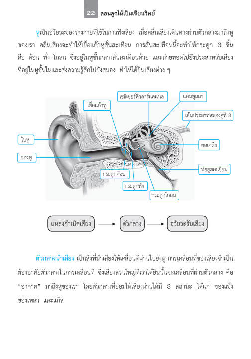 สอนลูกให้เป็นเซียน-วิทยาศาสตร์-ป-5-ฉบับปรับปรุงหลักสูตร-2560-พิมพ์-2-สี-แถมฟรีเฉลย