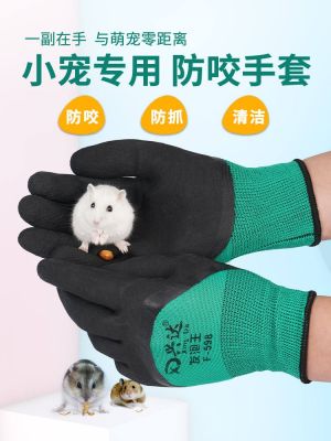 High-end Original Small pet anti-bite gloves hamster supplies childrens protective gloves catch sea animals anti-scratch cat golden bear parrot