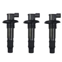 3Pcs Ignition Coil for RXP GTX RXT 130 155 185 215 255 260 Part Number:420664020 296000307