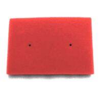 Motorcycle Sponge Air Filter for KAWASAKI NINJA 250 250R 300 ABS Z300 Ninja300 EX300 Ninja250 Ninja250R