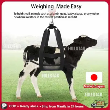 Baby best sale calf scales