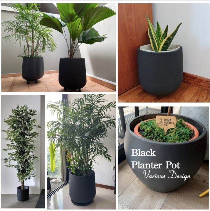 Extra Large Black Pure Cement Pot Fiber Glass Planter Pot / Cement Plant Pot / Planter Box