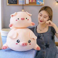 Cute Pig Doll Plush Toy Large Rag Doll Pillow Birthday Gift For Girls