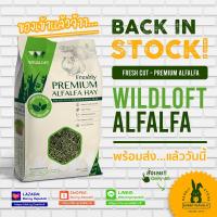 ❗️❗️ SALE ❗️❗️ Wildloft Premium Alfalfa หญ้าอัลฟาฟ่า อาหารกระต่าย สัตว์ฟันแ !! อาหารสัตว์เลี้ยงขนาดเล็ก Small Pet Food มาตรฐาน โค้งสุดท้าย บริการเก็บเงินปลายทาง ราคาถูก คุณภาพดี โปรดอ่านรายละเอียดก่อนสั่ง