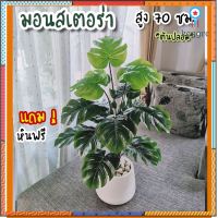 ต้นมอนสเตร่า สูง70 cm /** ต้นไม้ปลอม พร้อมกระถาง / หิน flashsale ลดกระหน่ำ