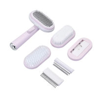 Factory Outlet Pet One -Click Hair Removal Combed Cat And Dog Massage Brushing Five -In -One Set Clean