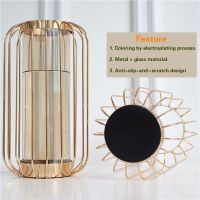 [NANA] Nordic Wrought Iron Vase Golden Hydroponic Glass Vase Ornaments Living Room Dining Table Decoration