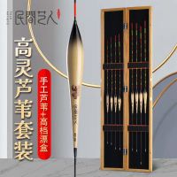 Folk artist reed float bold super eye-catching fish float high sensitive full set of crucian carp float fishing water reed fish float fishing