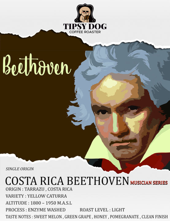 costa-rica-canet-beethoven-musician-series-เมล็ดกาแฟคั่วอ่อน