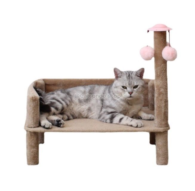 ที่นอนแมว-เบาะแมว-บ้านแมว-เก้าอี้แมว-โซฟาแมว