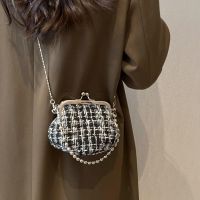 Net Red Foreign Style Small Bag Female 2023 New Trendy Autumn And Winter Fashion Shoulder High-End Sense Crowd Messenger Shell New on September 7th