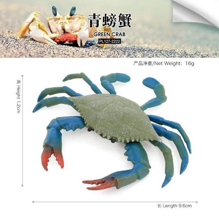 simulation-model-of-ocean-animals-crab-green-crab-crab-crab-collection-of-childrens-cognitive-toys-furnishing-articles