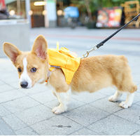 Pet Bag Dog Portable Foldable Travel Pet Bag Pet Travel Bag Outdoor Pet Training Bag Fashion Cat Puppy Chest Strap Portable