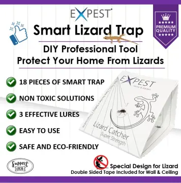 Expest Super Strength Sticky Lizard Control Trap - 9 traps per box +  Clippers