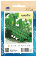 บวบเหลี่ยม Ridge gourd เมล็ดพันธุ์เจียไต๋ โฮมการ์เด้น