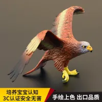 Solid childrens simulation animal model set toy red kite eagle raptor early education cognitive gift