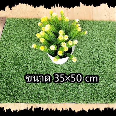 🎉🎉โปรพิเศษ หญ้าเทียมหนา 1 cm ขนาด 35×50 cm ราคาถูก หญ้า หญ้าเทียม หญ้าเทียมปูพื้น หญ้ารูซี หญ้าแต่งสวน แต่งพื้น cafe แต่งร้าน สวย ถ่ายรุป