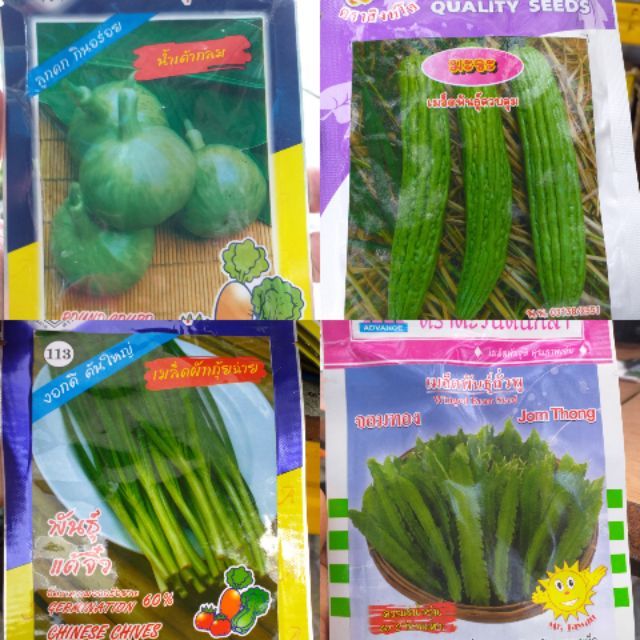 Malaysia Stock Biji Benih Sayur Sayuran Made In Thailand Lazada