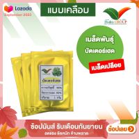 เมล็ดบัตเตอร์เฮด ชนิดเปลือย By Hydroponicgroup