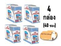 (ฟรีของแถม) Royal Canin Medium Puppy 10x140gx4box  โรยัล คานิน อาหารเปียก สำหรับลูกสุนัขพันธุ์กลาง 10x140กรัมx4กล่อง