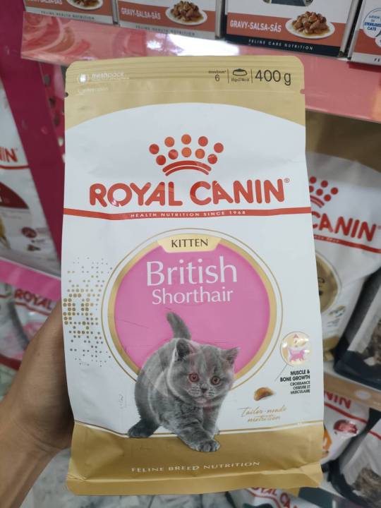 42pets-royal-canin-400-กรัม-โรยัล-คานิน-อาหารเม็ด-อาหารแมว-รวมสูตร-ลูกแมว-แมวโต-แมวเลี้ยงในบ้าน-เปอร์เซีย-แมวเลือกกิน-แมวพันธุ์บริติช