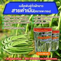 เมล็ดพันธุ์ถั่วฝักยาวสายดำเนิน ขนาด 500 กรัม