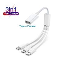 Kabel pengisi daya ekstensi Splitter pria 3 in 1 tipe-c perempuan ke USB-C/8pin/Micro USB untuk iPhone14 13 12 11 Pro SE XR Samsung lainnya