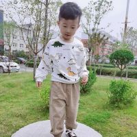 HiGoBaby long sleeve Boys sweater childrens Tops Kids shirt 3 childrens autumn clothes boys baby bottoming shirt