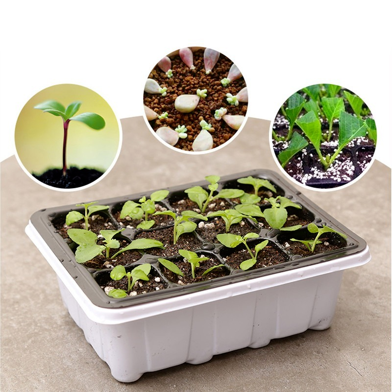 12 Cells Plant Seed Starting Grow Box Pot Nursery Seedling Propagation Tray 