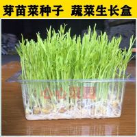 [COD] Germinated seedlings with transparent live multi-purpose growth box planting tray balcony container seed seedling