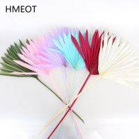 【cw】 Dried Cattail Big Wedding Arrangement Material