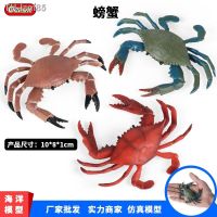 ? ของขวัญ Xiaoqing crab solid Marine animals childrens cognitive simulation model toy toys furnishing articles