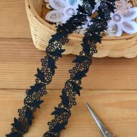 3 Meters/lot Width 1.8cm Black Embroidered Lace Ribbon for Garments Hometexile Decors DIY High Quality Lace Trim Accessories Fabric  Material