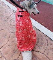 Large Dog Clothes Winter Big Dog Clothes Chinese New Year Dog Costume Tang Suit Cheongsam Samoyed Golden Retriever Clothing Coat