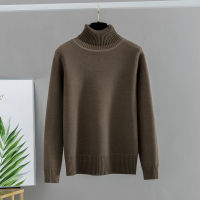 GIGOGOU Basic Women Pullover and Sweaters Autumn Winter Thick Warm Jumper Top Turtleneck Knitted Sweater Pull Femme Hiver