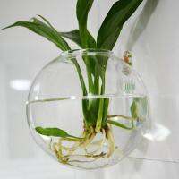 ติดผนังใหม่ถังชามแขวนTerrarium Hydroponicแจกันห้องนั่งเล่นตกแต่งผนัง L3D1