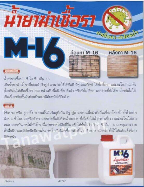 cic-ซีไอซี-น้ำยาฆ่าเชื้อรา-m16-ขนาด-3-ลิตร-1-แกลลอน-m-16-น้ำยาฆ่าเชื้อราcic-น้ำยาฆ่าเชื้อราซีไอซี-น้ำยาฆ่าเชื้อราm16-น้ำยาcic-น้ำยาซีไอซี-disinfectant